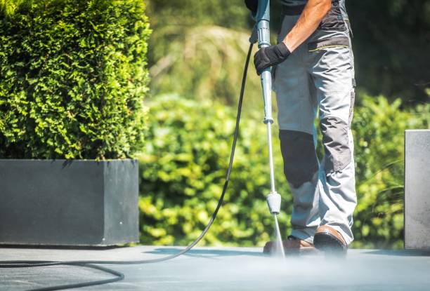 Best Deck and Patio Pressure Washing in Grapeland, TX